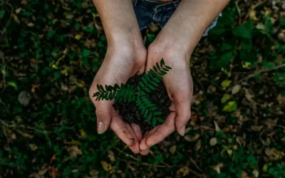 Sustainable Product Blending