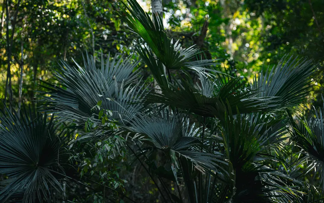 Strategic Sustainable Green Blending